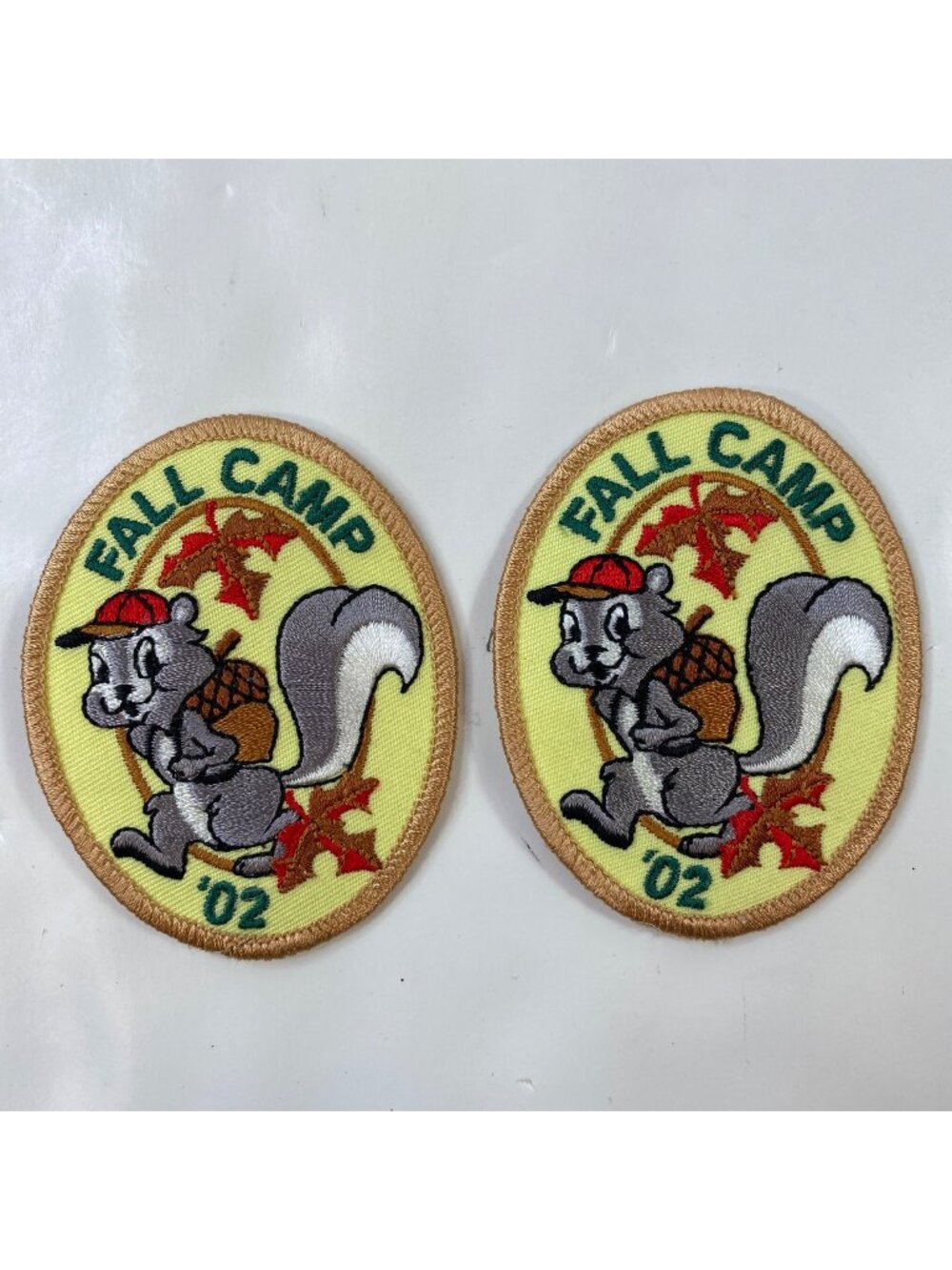 Girl Scout Fall Camp 02 Squirrel Badges Patches Set 2